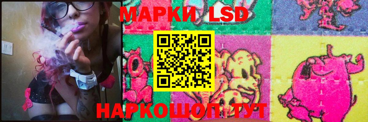 Будённовск  LSD-25 экстази кислота  Вход с VPN  Лсд 25 экстази кислота 
