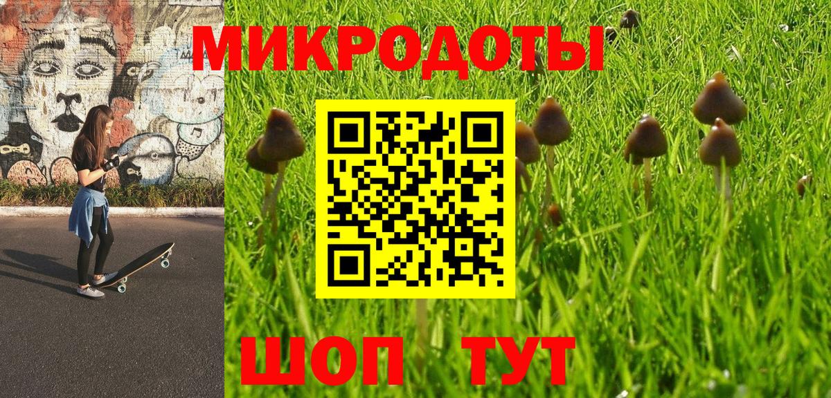 Галлюциногенные грибы Psilocybine cubensis  Будённовск 