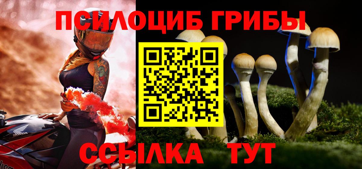 Будённовск  Псилоцибиновые грибы Psilocybine cubensis  Вход с VPN 